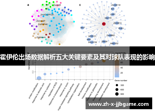 霍伊伦出场数据解析五大关键要素及其对球队表现的影响